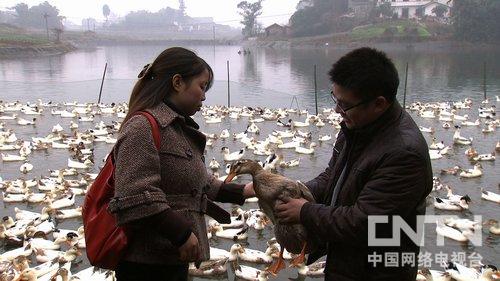 重庆荣昌县村官张雪