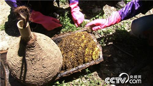 女孩饱受流言蜚语背后的财富